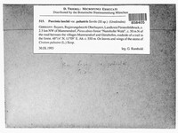 Image Associated With the Occurence